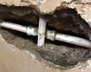 金台测漏水哪家好